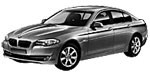 BMW F10 U110A Fault Code